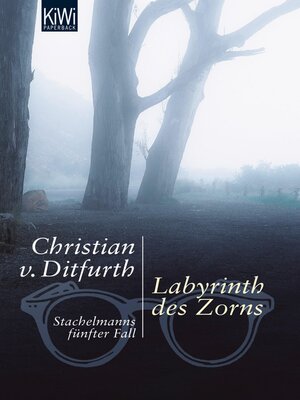 cover image of Labyrinth des Zorns